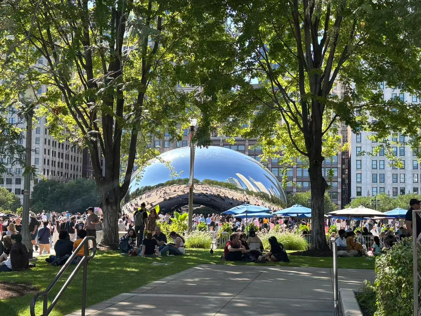 Cloud Gate seen through trees with visitors in the surrounding park